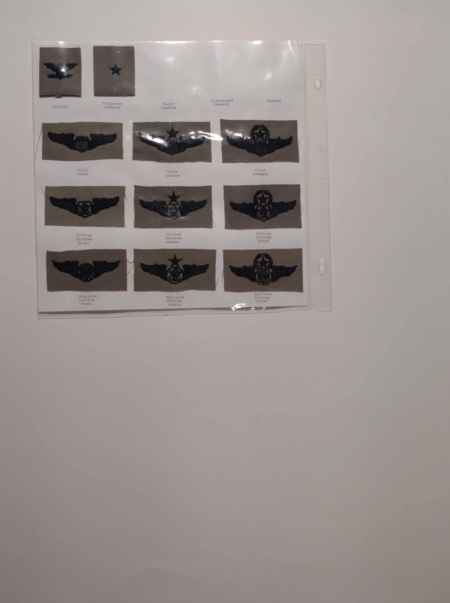 Air Force ABU Ranks, Badges, Wings (1066) picture 10