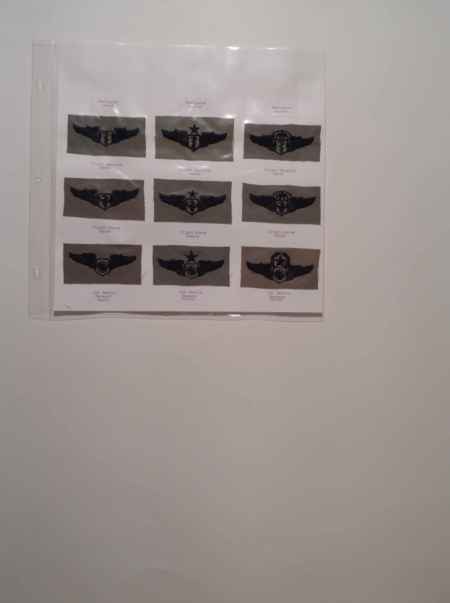Air Force ABU Ranks, Badges, Wings (1066) picture 11