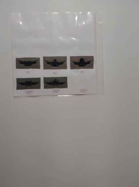 Air Force ABU Ranks, Badges, Wings (1066) picture 12