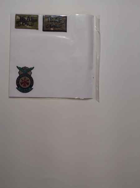 Air Force ABU Ranks, Badges, Wings (1066) picture 22