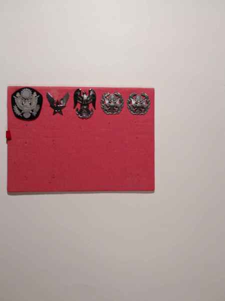 Air Force Cap Devices (1037) picture 10