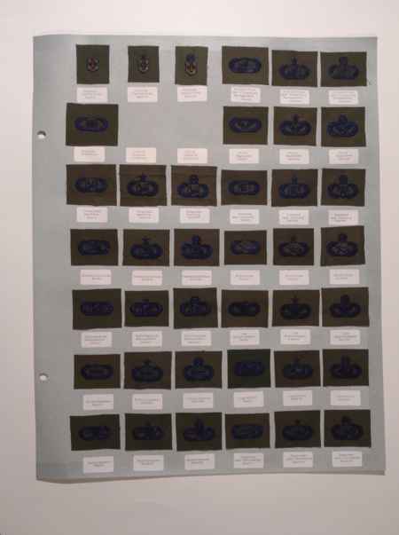 Air Force Ranks (1002) picture 39