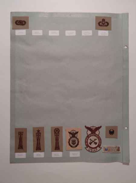 Air Force Ranks (1002) picture 48