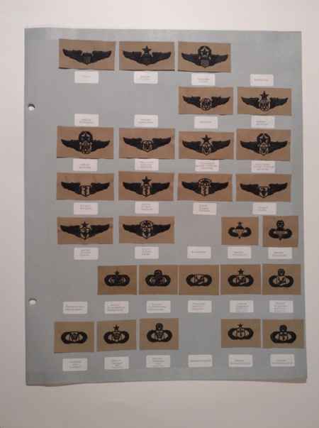 Air Force Ranks (1002) picture 51