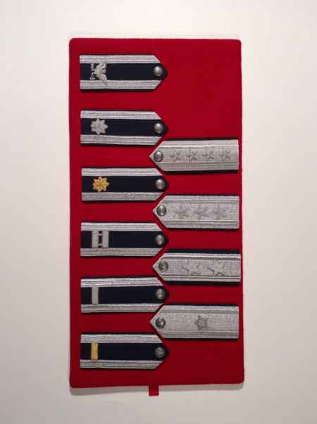 Air Force Shoulder Boards (Current) (1039) picture 5