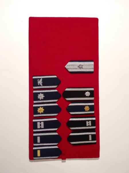 Air Force Shoulder Boards (Current) (1039) picture 6