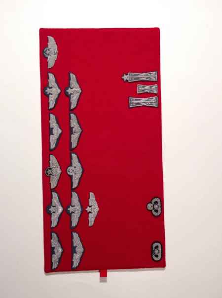 Air Force Shoulder Boards (Current) (1039) picture 8