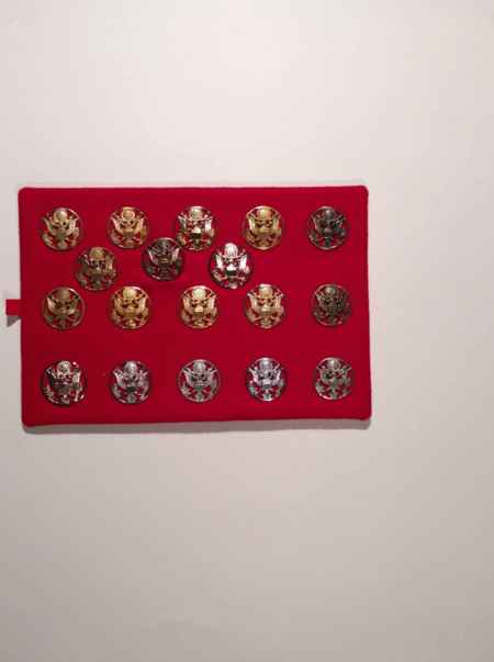 Army Cap Devices II (1102) picture 3