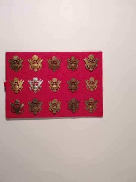 Army Cap Devices II (1102) picture 8