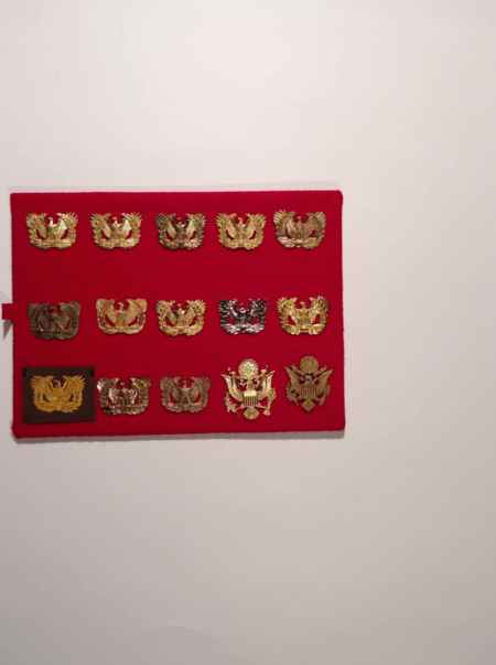 Army Cap Devices III (1033) picture 8