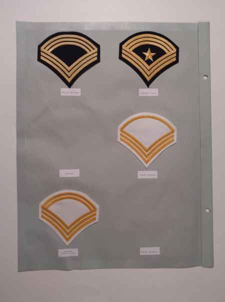 Army Chevrons (1006) picture 35