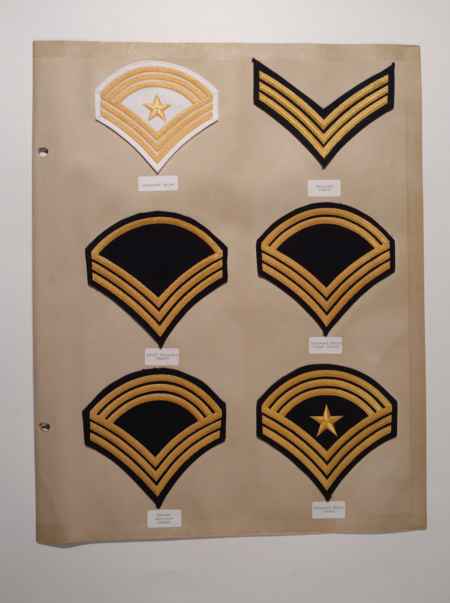 Army Chevrons (1006) picture 36