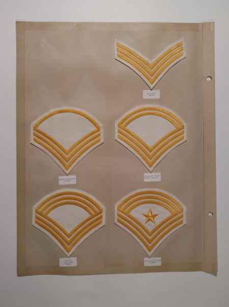 Army Chevrons (1006) picture 37