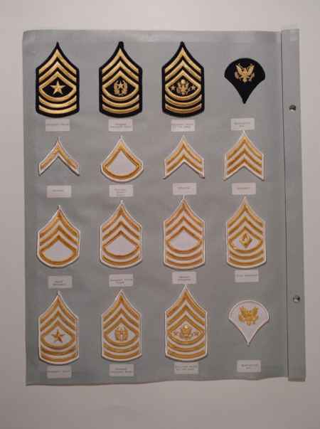 Army Chevrons (1006) picture 51