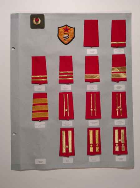 Army Chevrons (1006) picture 52