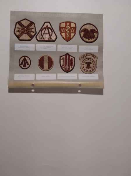 Army Desert (1020) picture 19