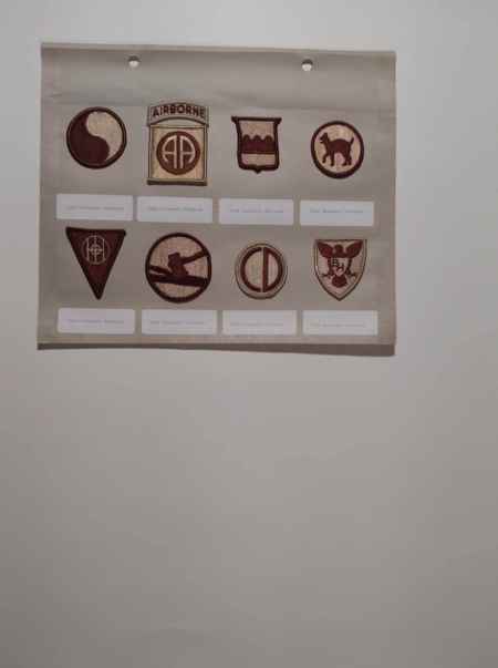 Army Desert (1020) picture 32