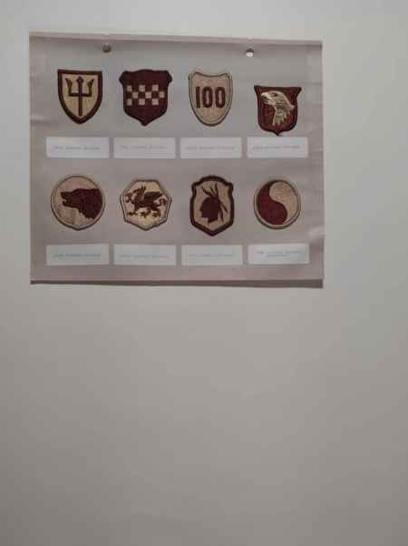Army Desert (1020) picture 34