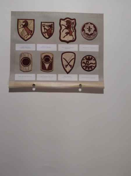 Army Desert (1020) picture 45