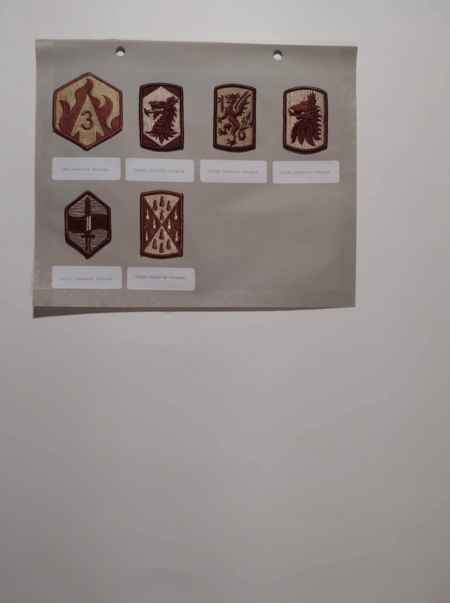 Army Desert (1020) picture 66