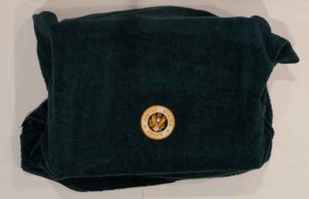 Army Pins (1050) picture 1