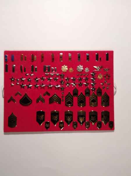 Army Pins (1050) picture 5
