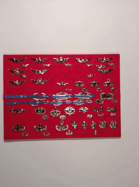Army Pins (1050) picture 6