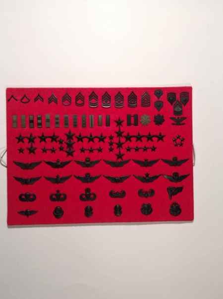 Army Pins (1050) picture 11