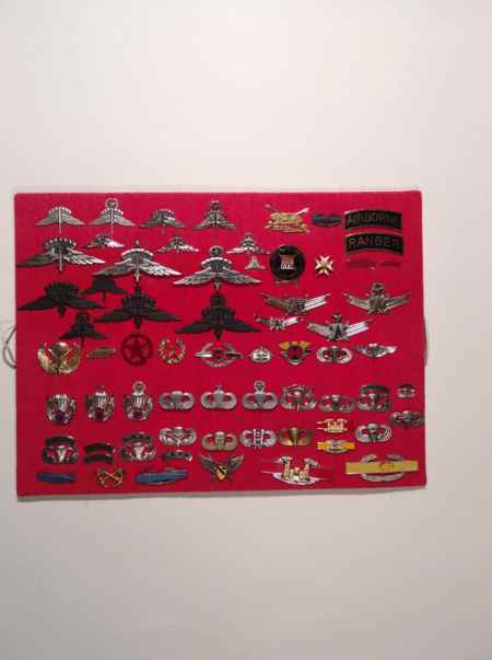 Army Pins (1050) picture 13