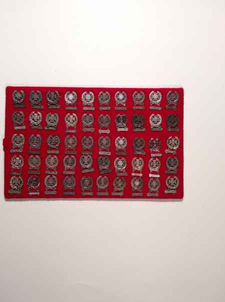 Army Shooting Badges (1036) picture 7