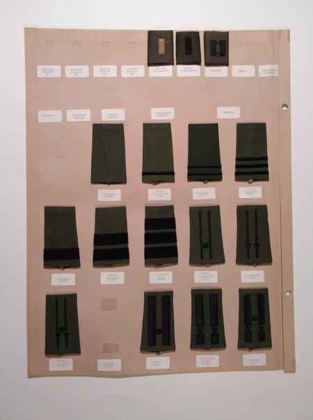 Army Subdued (1022) picture 2