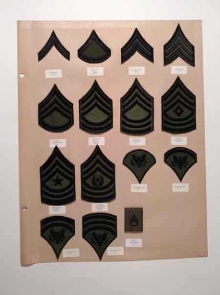 Army Subdued (1022) picture 3