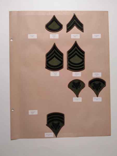 Army Subdued (1022) picture 5