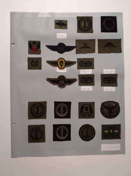 Army Subdued (1022) picture 11