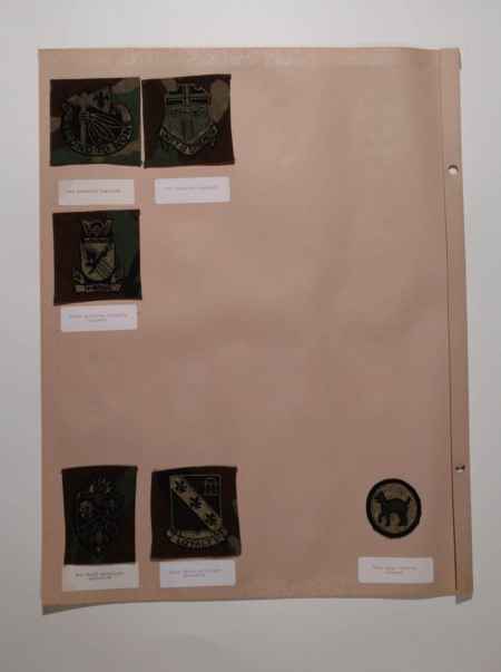 Army Subdued (1022) picture 48