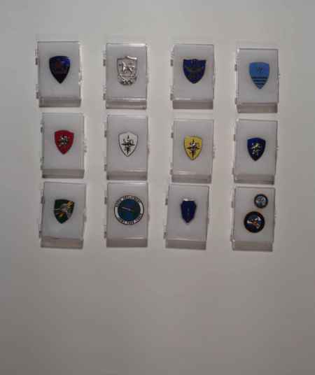 Breast Badges (1064) picture 11