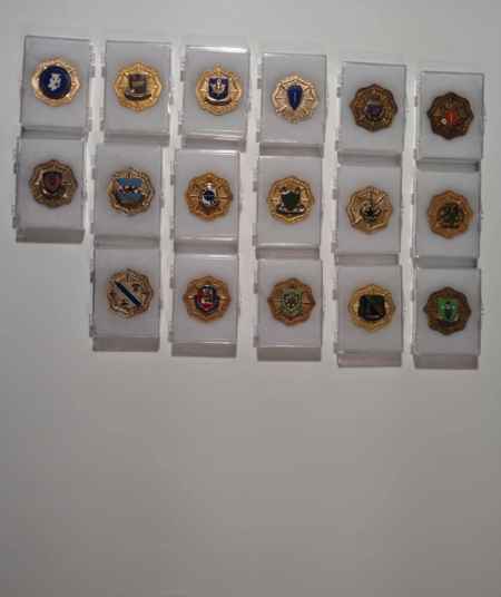 Breast Badges (1064) picture 12