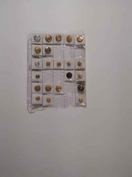 Buttons (1084) picture 10