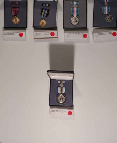 Civilian Medals (1057) picture 7