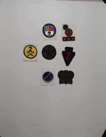 Insignia-Greens-Multiple Branches (1096) picture 2