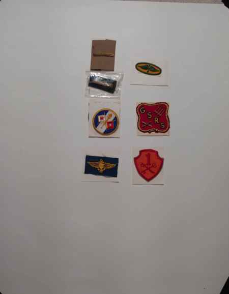 Insignia-Greens-Multiple Branches (1096) picture 3