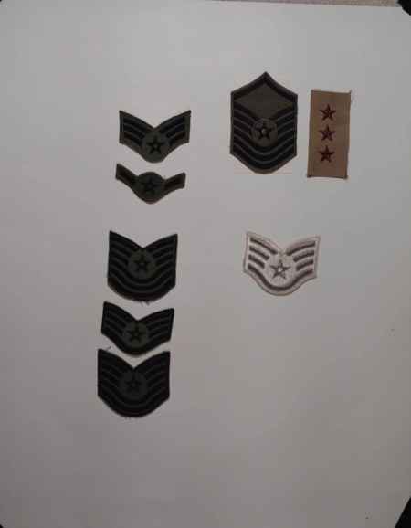 Insignia-Greens-Multiple Branches (1096) picture 4