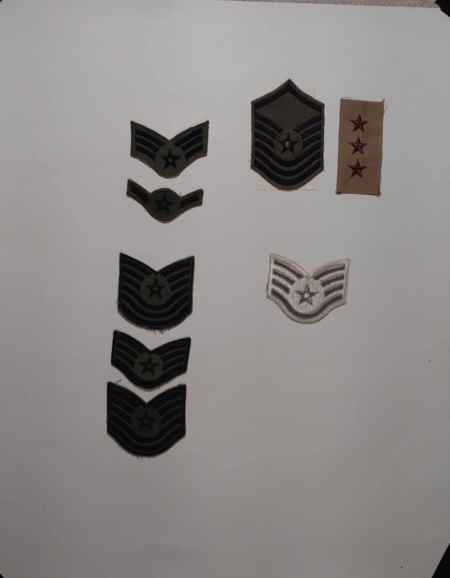 Insignia-Greens-Multiple Branches (1096) picture 5
