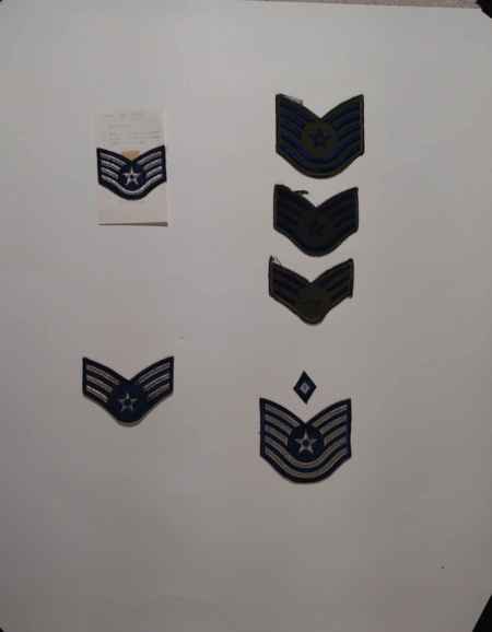 Insignia-Greens-Multiple Branches (1096) picture 6