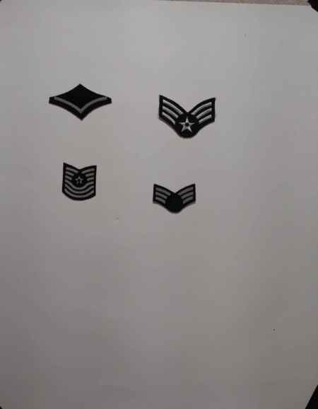 Insignia-Greens-Multiple Branches (1096) picture 8