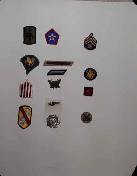 Insignia-Greens-Multiple Branches (1096) picture 9