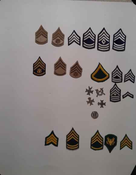 Insignia-Greens-Multiple Branches (1096) picture 10