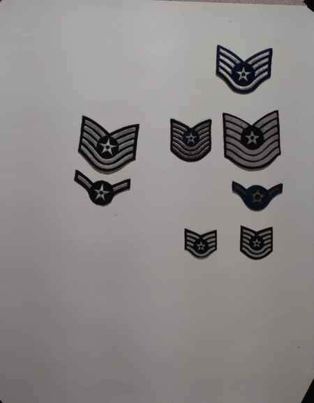 Insignia-Greens-Multiple Branches (1096) picture 11
