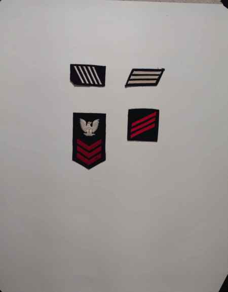 Insignia-Greens-Multiple Branches (1096) picture 12