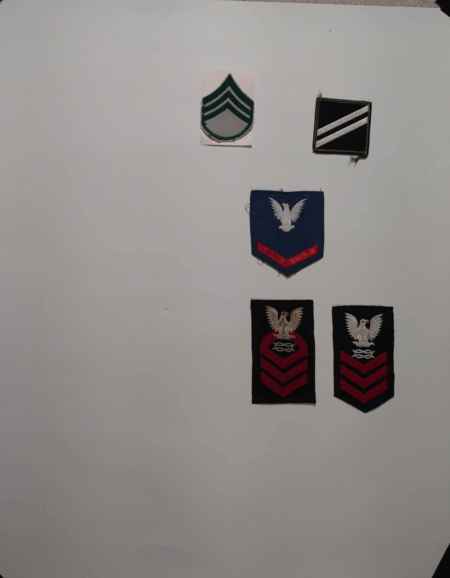 Insignia-Greens-Multiple Branches (1096) picture 13